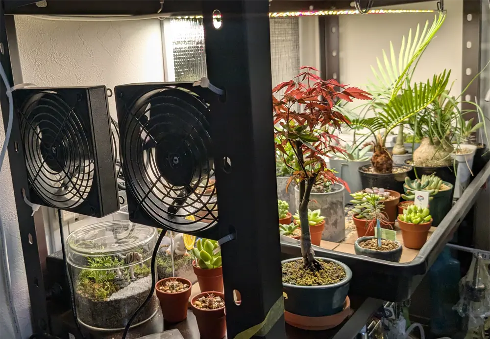 植物棚に扇風機の設置｜ranofish.com